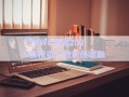 TYXWL发展2025债权资产政府债定融