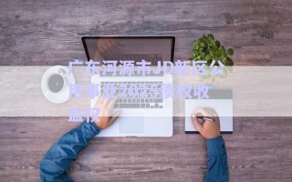 广东河源市JD新区公用事业2025债权收益权
