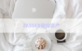 ZKSSCX债权资产