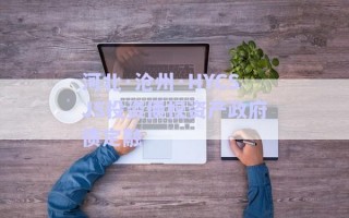 河北·沧州·HYCSJS投资债权资产政府债定融