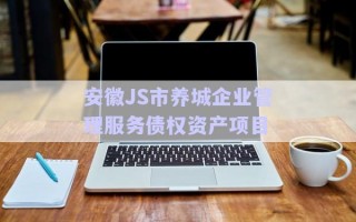 安徽JS市养城企业管理服务债权资产项目