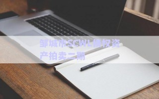 邹城市SCWL债权资产拍卖二期