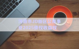 河源市JD新区公用事业2025债权收益权
