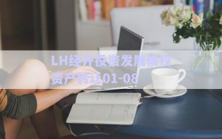 LH经开投资发展债权资产转让01-08