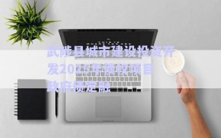 武陟县城市建设投资开发2025年债权项目政府债定融