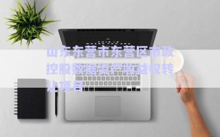 山东东营市东营区市政控股数据资产收益权转让项目