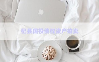 杞县国投债权资产拍卖