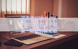 河南省SDWHJYJTYXGS债权资产拍卖一期政府债定融