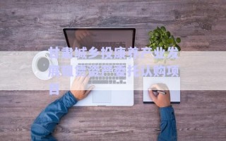 甘肃城乡投康养产业发展租赁资产委托认购项目