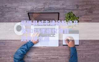 武陟县城市建设投资开发2025年债权项目政府债定融