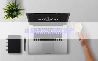 山东SDWL债权资产