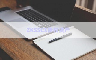 ZKSSCX债权资产