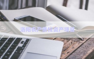 洛阳农产债权资产项目