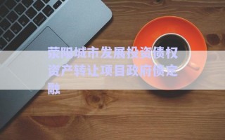 荥阳城市发展投资债权资产转让项目政府债定融