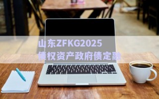 山东ZFKG2025债权资产政府债定融