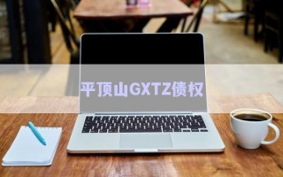 平顶山GXTZ债权