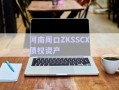河南周口ZKSSCX债权资产