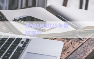 新安SW2025年债权资产