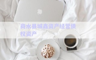 商水县城鑫资产经营债权资产