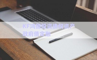 KF鸿德投资债权资产政府债定融