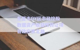 东营市DY区市政控股数据资产收益权转让项目政府债定融