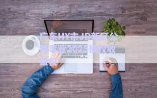 广东HY市JD新区公用事业2025债权收益权