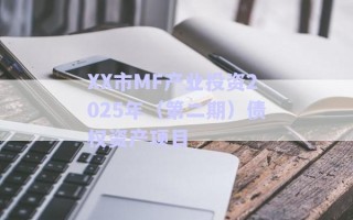 XX市MF产业投资2025年（第二期）债权资产项目