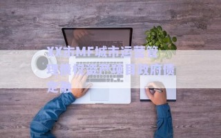 XX市MF城市运营管理债权资产项目政府债定融