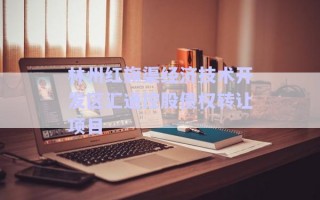 林州红旗渠经济技术开发区汇通控股债权转让项目