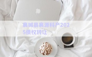 襄城县襄源科产2025债权转让