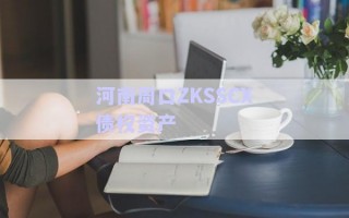 河南周口ZKSSCX债权资产