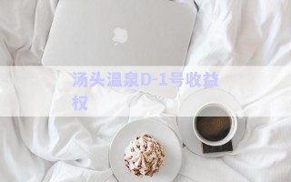 汤头温泉D-1号收益权