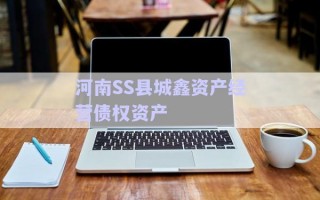 河南SS县城鑫资产经营债权资产