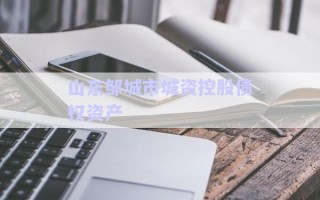 山东邹城市城资控股债权资产