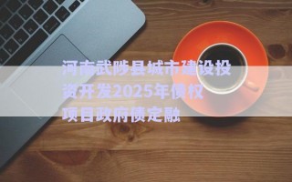 河南武陟县城市建设投资开发2025年债权项目政府债定融