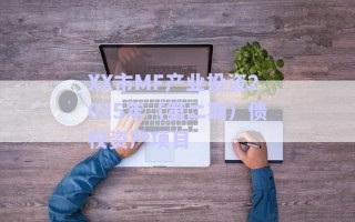 XX市MF产业投资2025年（第二期）债权资产项目