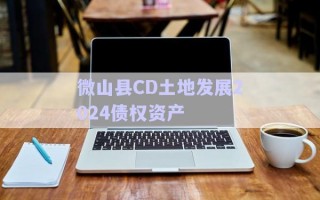 微山县CD土地发展2024债权资产