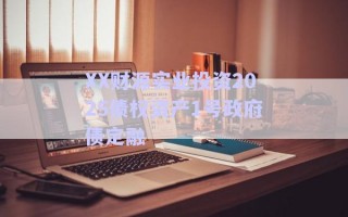 XX财源实业投资2025债权资产1号政府债定融