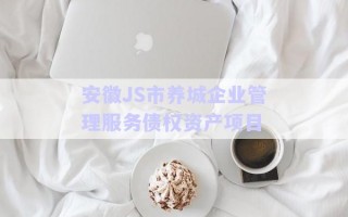 安徽JS市养城企业管理服务债权资产项目