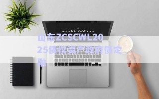 山东ZCSCWL2025债权资产政府债定融