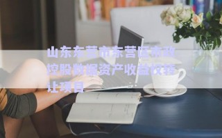 山东东营市东营区市政控股数据资产收益权转让项目