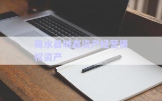 商水县城鑫资产经营债权资产