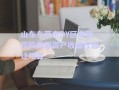 山东东营市DY区市政控股数据资产收益权转让项目