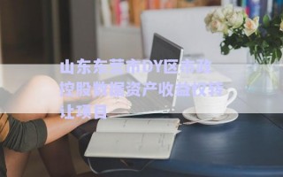 山东东营市DY区市政控股数据资产收益权转让项目