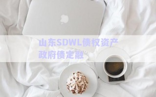 山东SDWL债权资产政府债定融