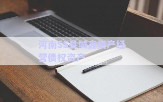 河南SS县城鑫资产经营债权资产