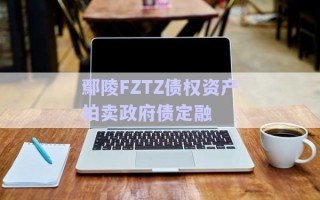 鄢陵FZTZ债权资产拍卖政府债定融
