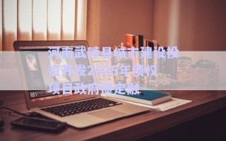 河南武陟县城市建设投资开发2025年债权项目政府债定融