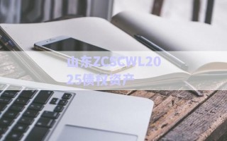 山东ZCSCWL2025债权资产