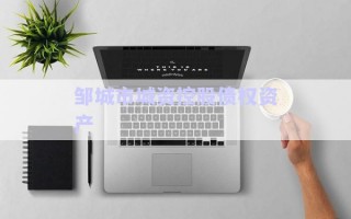 邹城市城资控股债权资产